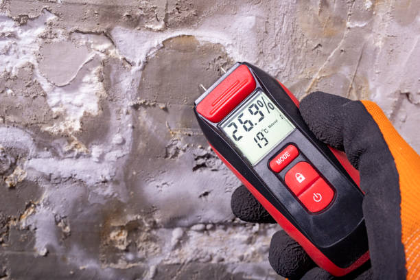 Best Mold Testing  in Redding, CA
