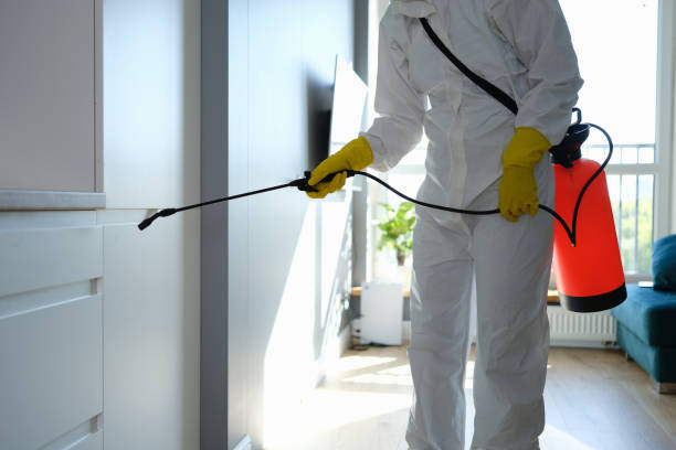 Best Emergency Mold Removal  in Redding, CA